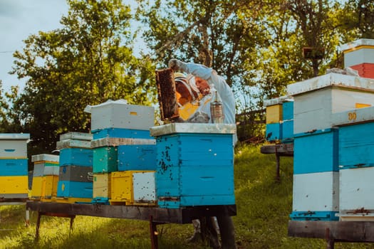 Beekeepers checking honey on the beehive frame in the field. Small business owners on apiary. Natural healthy food produceris working with bees and beehives on the apiary