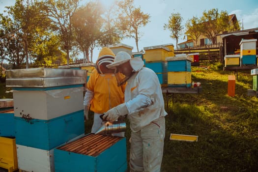 Beekeepers checking honey on the beehive frame in the field. Small business owners on apiary. Natural healthy food produceris working with bees and beehives on the apiary