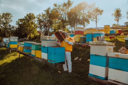 Beekeepers checking honey on the beehive frame in the field. Small business owners on apiary. Natural healthy food produceris working with bees and beehives on the apiary