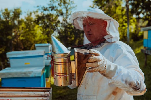 The beekeeper using smoke to calm the bees and begins to inspect the honey.