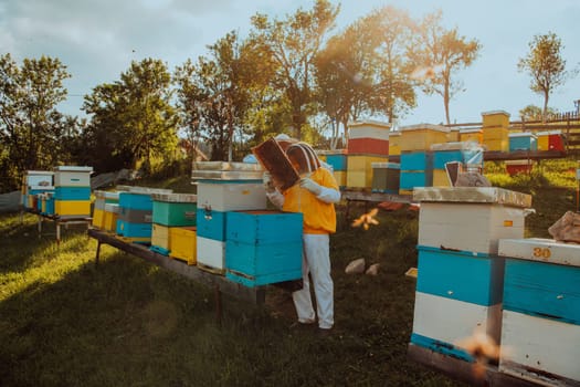 Beekeepers checking honey on the beehive frame in the field. Small business owners on apiary. Natural healthy food produceris working with bees and beehives on the apiary