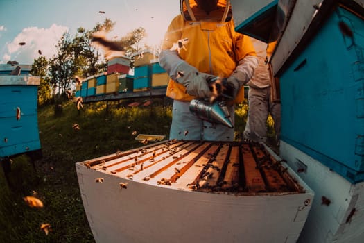 Beekeeper checking honey on the beehive frame in the field. Small business owner on apiary. Natural healthy food produceris working with bees and beehives on the apiary