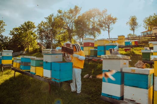 Beekeepers checking honey on the beehive frame in the field. Small business owners on apiary. Natural healthy food produceris working with bees and beehives on the apiary