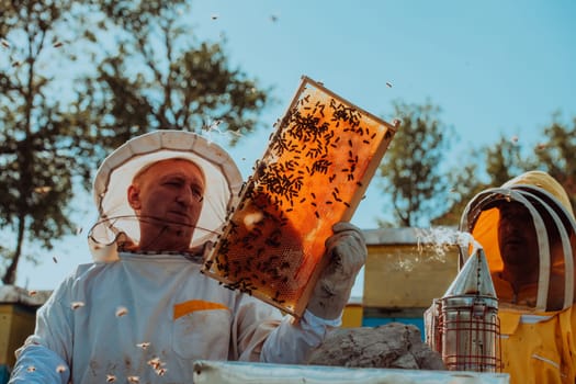 Beekeepers checking honey on the beehive frame in the field. Small business owners on apiary. Natural healthy food produceris working with bees and beehives on the apiary