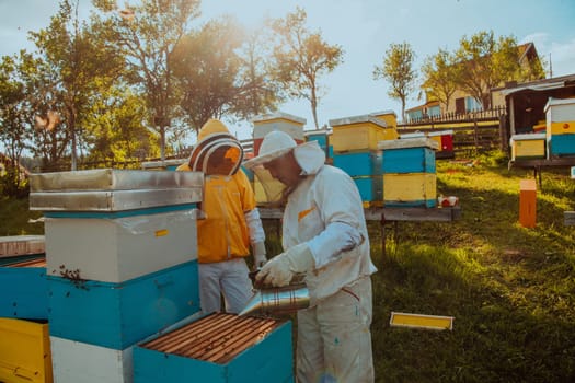 Beekeepers checking honey on the beehive frame in the field. Small business owners on apiary. Natural healthy food produceris working with bees and beehives on the apiary