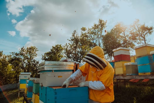 Beekeeper checking honey on the beehive frame in the field. Beekeeper on apiary. Beekeeper is working with bees and beehives on the apiary. Small business concept