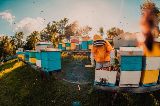 Beekeeper checking honey on the beehive frame in the field. Beekeeper on apiary. Beekeeper is working with bees and beehives on the apiary. Small business concept