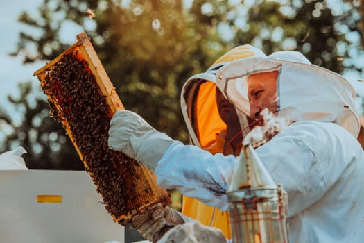 Beekeepers checking honey on the beehive frame in the field. Small business owners on apiary. Natural healthy food produceris working with bees and beehives on the apiary