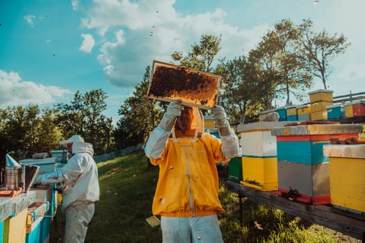 Beekeeper checking honey on the beehive frame in the field. Small business owner on apiary. Natural healthy food produceris working with bees and beehives on the apiary