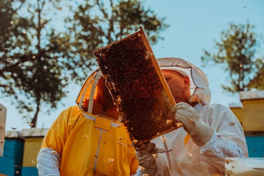 Beekeepers checking honey on the beehive frame in the field. Small business owners on apiary. Natural healthy food produceris working with bees and beehives on the apiary