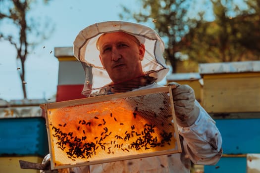 Beekeeper checking honey on the beehive frame in the field. Small business owner on apiary. Natural healthy food produceris working with bees and beehives on the apiary