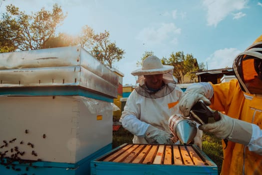 Beekeepers checking honey on the beehive frame in the field. Small business owners on apiary. Natural healthy food produceris working with bees and beehives on the apiary