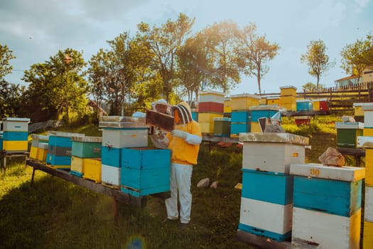 Beekeepers checking honey on the beehive frame in the field. Small business owners on apiary. Natural healthy food produceris working with bees and beehives on the apiary