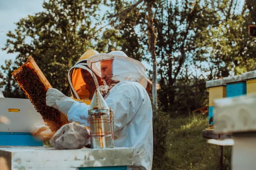 Beekeepers checking honey on the beehive frame in the field. Small business owners on apiary. Natural healthy food produceris working with bees and beehives on the apiary