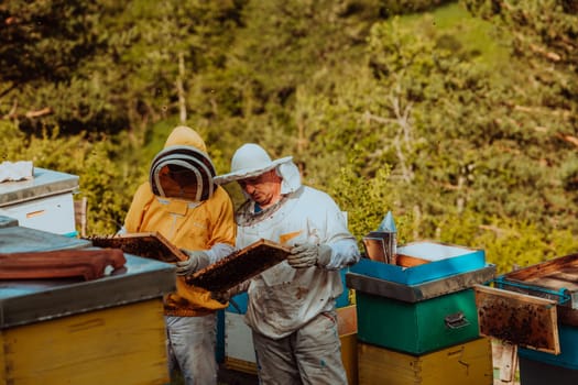 Beekeepers checking honey on the beehive frame in the field. Small business owners on apiary. Natural healthy food produceris working with bees and beehives on the apiary