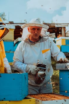 Beekeepers checking honey on the beehive frame in the field. Small business owners on apiary. Natural healthy food produceris working with bees and beehives on the apiary