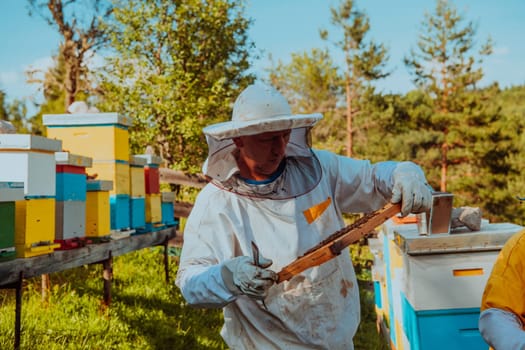 Beekeepers checking honey on the beehive frame in the field. Small business owners on apiary. Natural healthy food produceris working with bees and beehives on the apiary