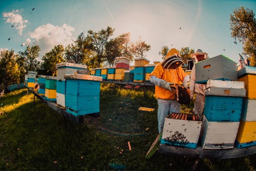 Beekeeper checking honey on the beehive frame in the field. Beekeeper on apiary. Beekeeper is working with bees and beehives on the apiary. Small business concept