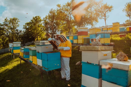 Beekeepers checking honey on the beehive frame in the field. Small business owners on apiary. Natural healthy food produceris working with bees and beehives on the apiary