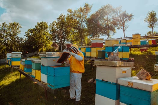 Beekeepers checking honey on the beehive frame in the field. Small business owners on apiary. Natural healthy food produceris working with bees and beehives on the apiary