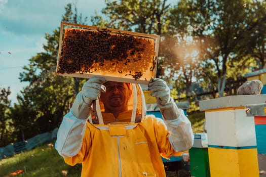 Beekeepers check the honey on the hive frame in the field. Beekeepers check honey quality and honey parasites. A beekeeper works with bees and beehives in an apiary. Small business concept