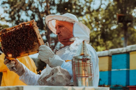 Beekeeper checking honey on the beehive frame in the field. Beekeeper on apiary. Beekeeper is working with bees and beehives on the apiary. Small business concept