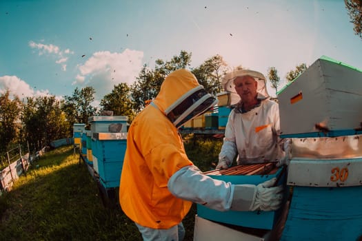 Beekeeper checking honey on the beehive frame in the field. Small business owner on apiary. Natural healthy food produceris working with bees and beehives on the apiary