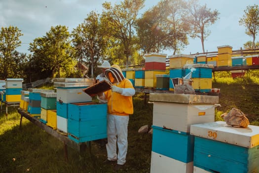 Beekeepers check the honey on the hive frame in the field. Beekeepers check honey quality and honey parasites. A beekeeper works with bees and beehives in an apiary. Small business concept