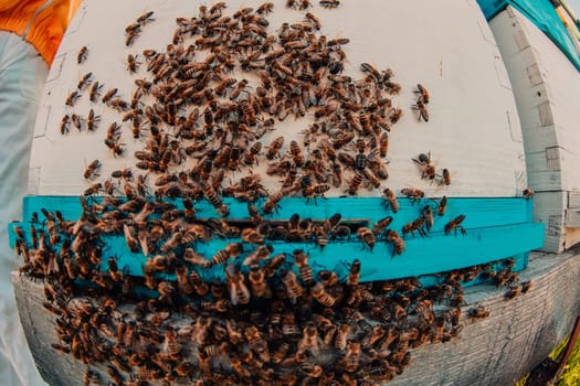 Close up photo of bees hovering around the hive carrying pollen.