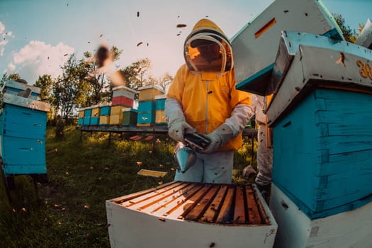 Beekeeper checking honey on the beehive frame in the field. Small business owner on apiary. Natural healthy food produceris working with bees and beehives on the apiary