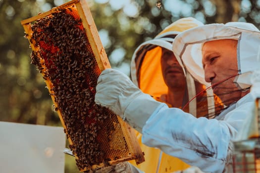 Beekeepers checking honey on the beehive frame in the field. Small business owners on apiary. Natural healthy food produceris working with bees and beehives on the apiary