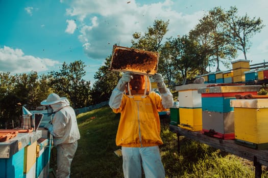 Beekeeper checking honey on the beehive frame in the field. Small business owner on apiary. Natural healthy food produceris working with bees and beehives on the apiary