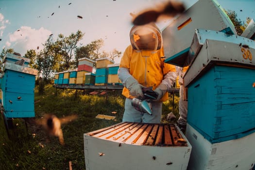 Beekeeper checking honey on the beehive frame in the field. Small business owner on apiary. Natural healthy food produceris working with bees and beehives on the apiary