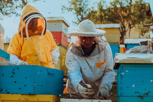 Beekeepers checking honey on the beehive frame in the field. Small business owners on apiary. Natural healthy food produceris working with bees and beehives on the apiary