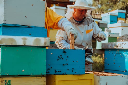 Beekeepers checking honey on the beehive frame in the field. Small business owners on apiary. Natural healthy food produceris working with bees and beehives on the apiary