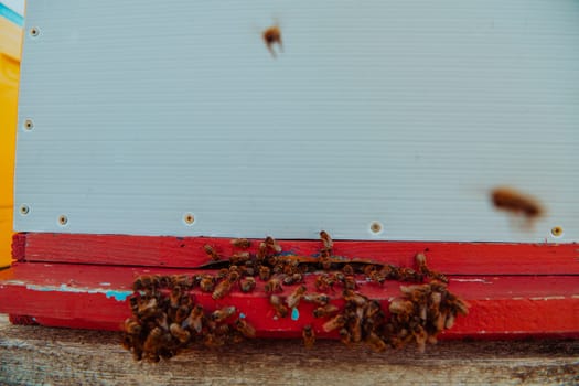 Close up photo of bees hovering around the hive carrying pollen.