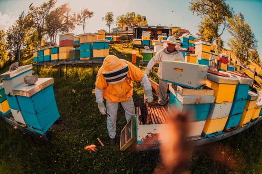 Beekeeper checking honey on the beehive frame in the field. Small business owner on apiary. Natural healthy food produceris working with bees and beehives on the apiary