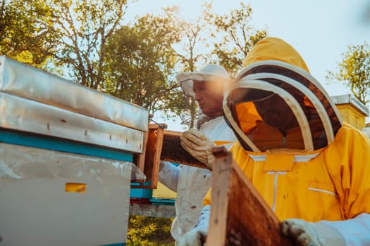 Beekeepers checking honey on the beehive frame in the field. Small business owners on apiary. Natural healthy food produceris working with bees and beehives on the apiary