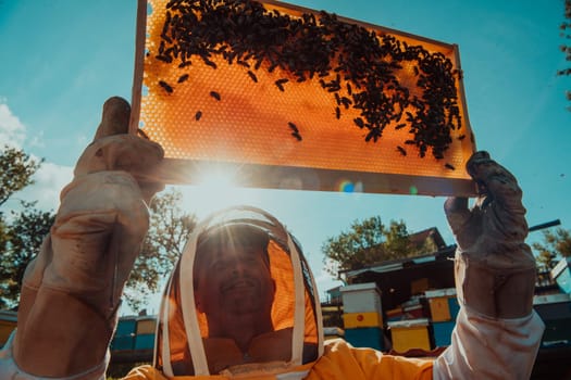 Wide shot of a beekeeper holding the beehive frame filled with honey against the sunlight in the field full of flowers.