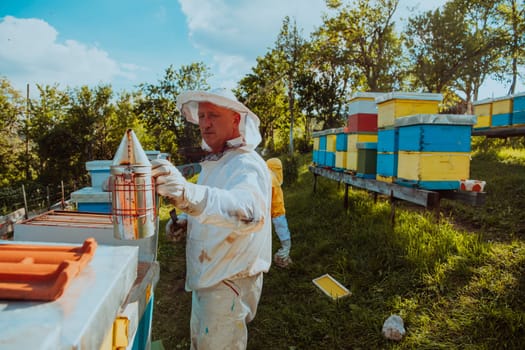 Beekeepers check the honey on the hive frame in the field. Beekeepers check honey quality and honey parasites. A beekeeper works with bees and beehives in an apiary. Small business concept