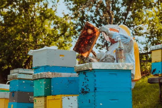 Beekeepers checking honey on the beehive frame in the field. Small business owners on apiary. Natural healthy food produceris working with bees and beehives on the apiary