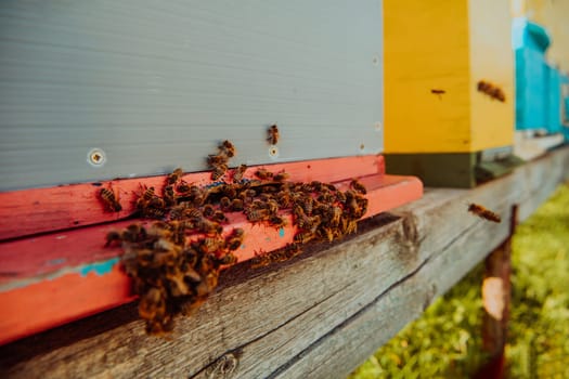 Close up photo of bees hovering around the hive carrying pollen.