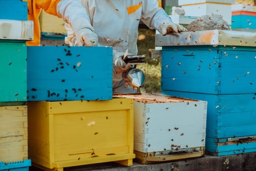 Beekeepers checking honey on the beehive frame in the field. Small business owners on apiary. Natural healthy food produceris working with bees and beehives on the apiary