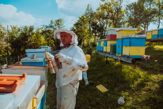 Beekeepers check the honey on the hive frame in the field. Beekeepers check honey quality and honey parasites. A beekeeper works with bees and beehives in an apiary. Small business concept