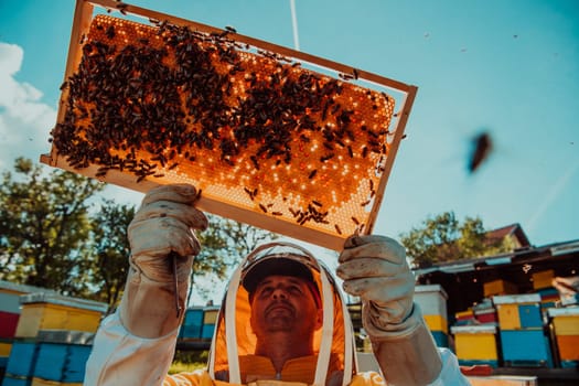 Wide shot of a beekeeper holding the beehive frame filled with honey against the sunlight in the field full of flowers.