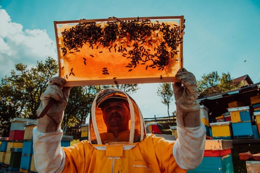 Wide shot of a beekeeper holding the beehive frame filled with honey against the sunlight in the field full of flowers.