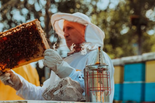 Beekeeper checking honey on the beehive frame in the field. Beekeeper on apiary. Beekeeper is working with bees and beehives on the apiary. Small business concept