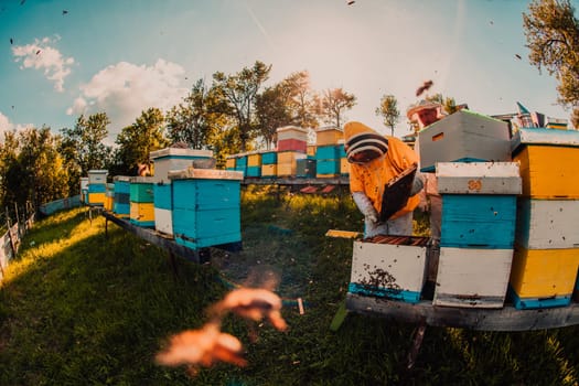 Beekeeper checking honey on the beehive frame in the field. Beekeeper on apiary. Beekeeper is working with bees and beehives on the apiary. Small business concept