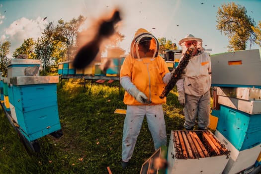 Beekeeper checking honey on the beehive frame in the field. Small business owner on apiary. Natural healthy food produceris working with bees and beehives on the apiary