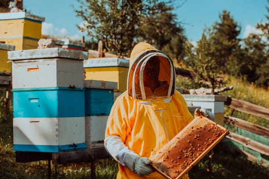 Beekeeper checking honey on the beehive frame in the field. Small business owner on apiary. Natural healthy food produceris working with bees and beehives on the apiary